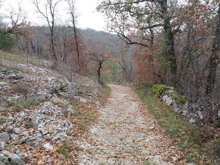 Voie_de_Rocamadour_033