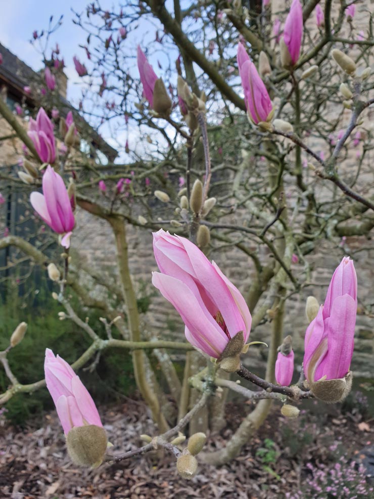 20190307_172105