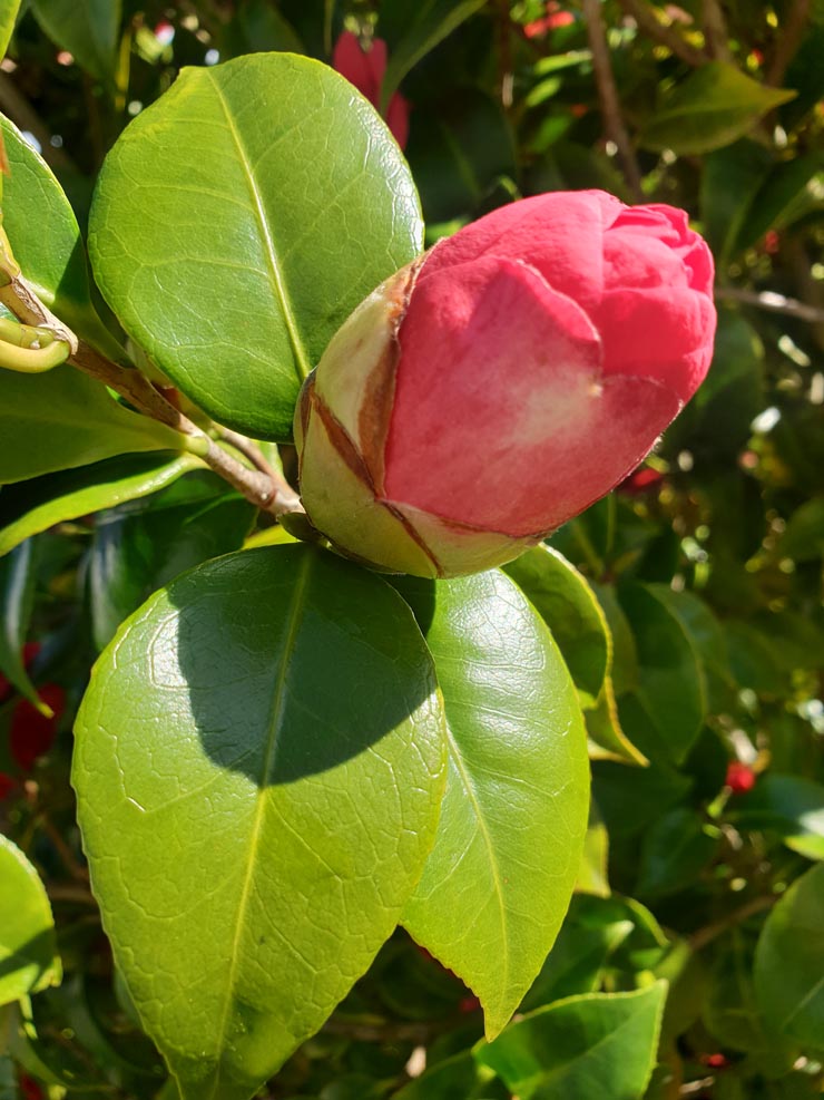 20190317_162211