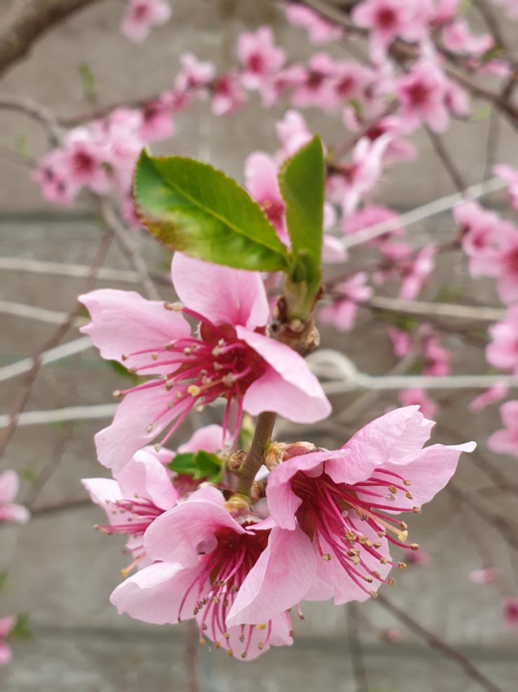 20190322_100725