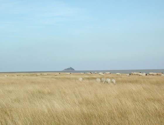 Mont-Saint-Michel_001