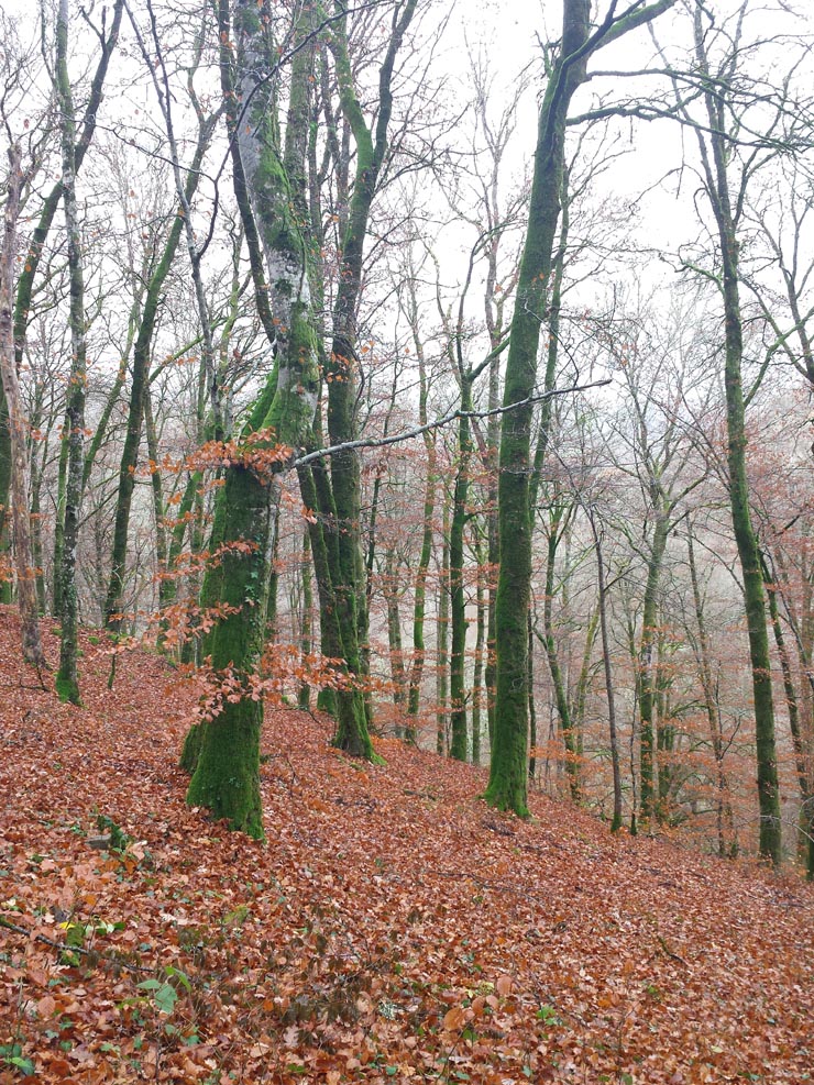 Croix_de_Turlande_012