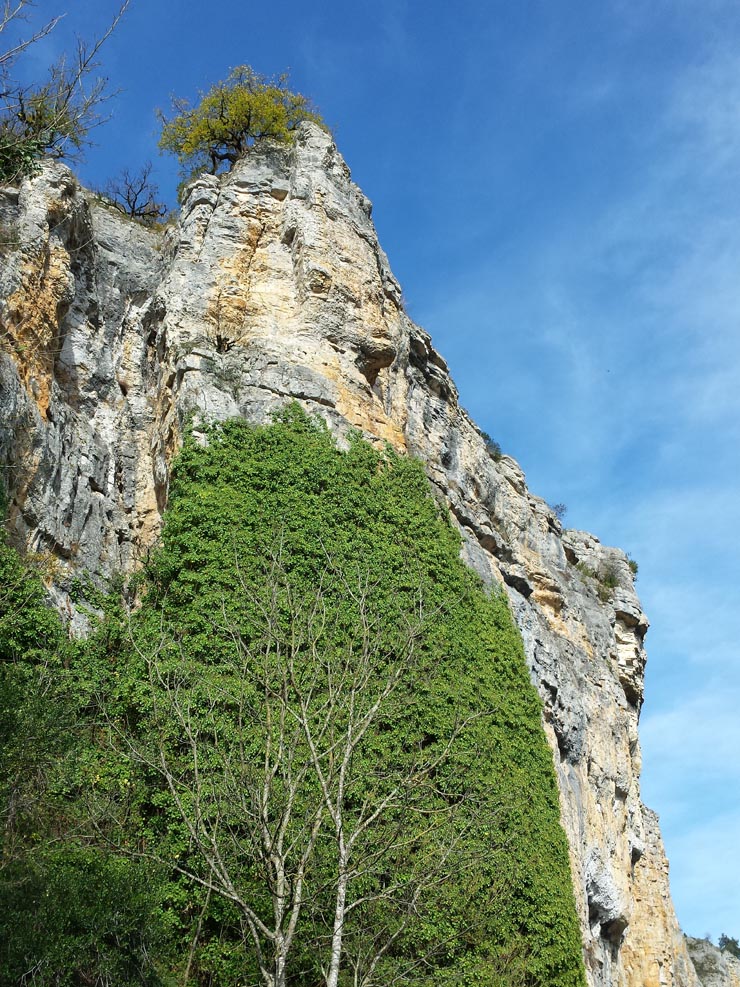 Gluges_Falaises_078