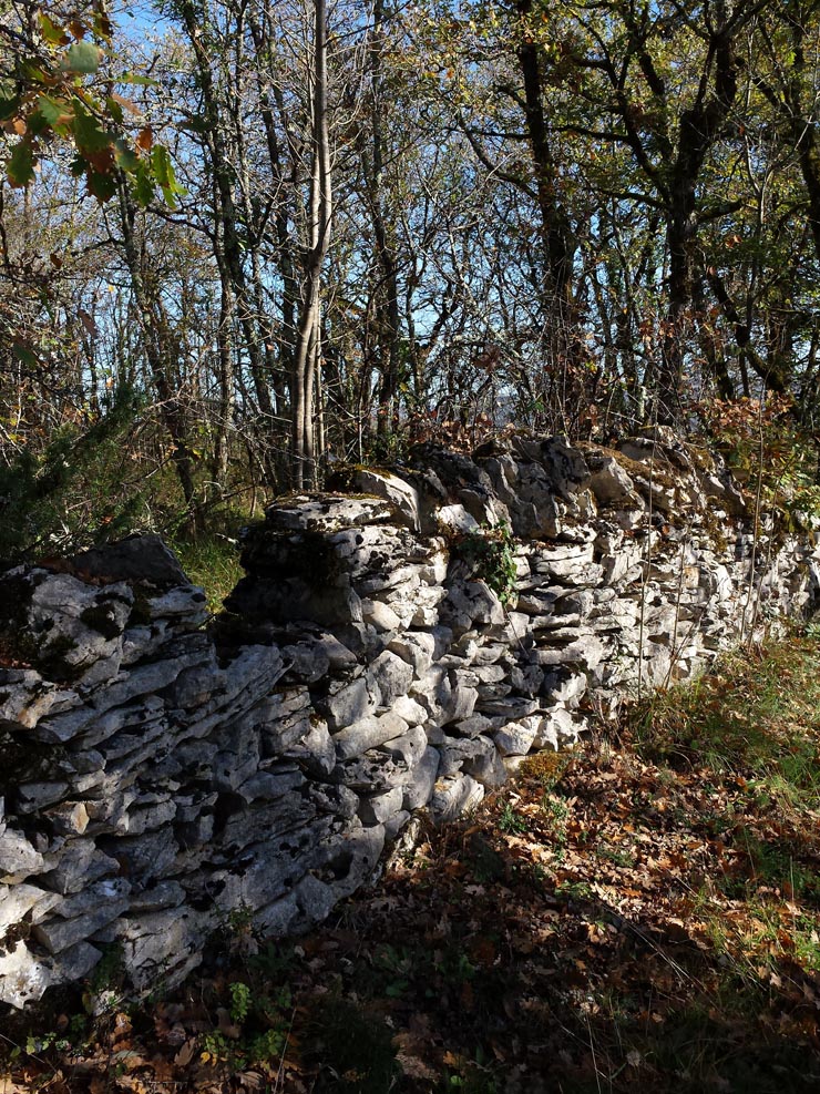 Gluges_Chemin_Botanique_031