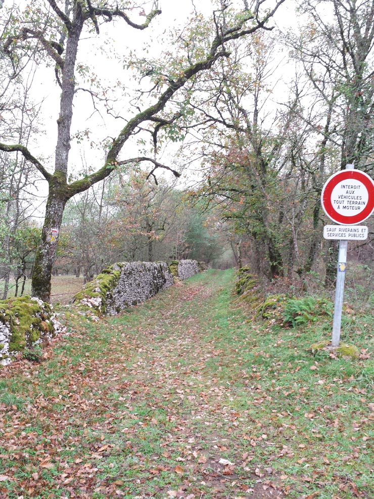 Voie_de_Rocamadour_005