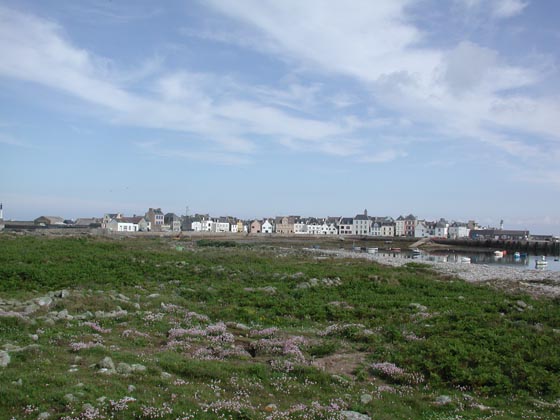 S1239_0080