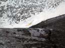 Coloration_a_la_riviere_046