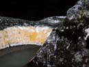 Coloration_a_la_riviere_074