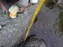 Coloration_a_la_riviere_036