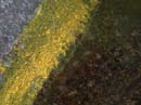 Coloration_a_la_riviere_042