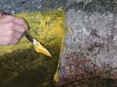 Coloration_a_la_riviere_045